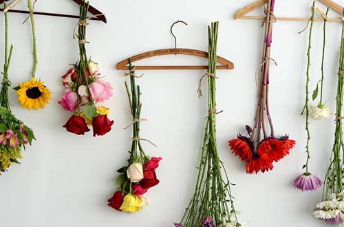 خشک کردن گل طبیعی