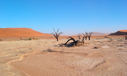 گدایان بیابانی