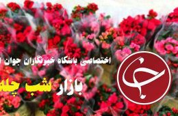 ️ قیمت هرشاخه گل برای شب یلدا