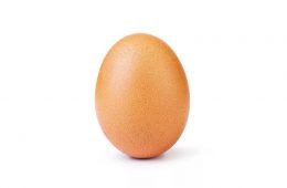 تخم مرغ یکی از سالم ترین غذاها