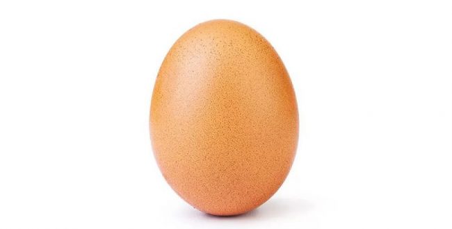 تخم مرغ یکی از سالم ترین غذاها