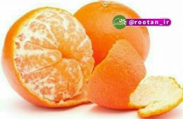 چگونگی درمان دیابت با نارنگی