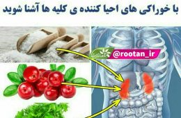 خوراکی های احیا کننده کلیه