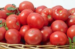گوجه فرنگی مفید برای نوزادا