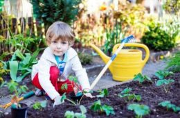 فواید پرورش گل و گیاه در خانه بر روی کودکان
