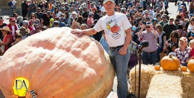 کشاورز کالیفرنیایی برنده مسابقه سالانه بزرگ‌ترین کدوتنبل با پرورش کدویی به وزن ۲۱۷۵ پوند