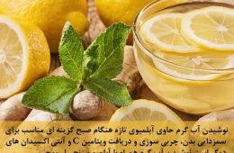 با کمک لیمو ترش و زنجبیل وزنتا