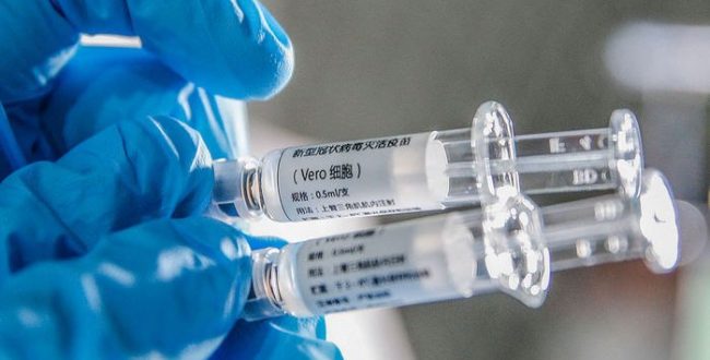 ️ محققان چینی میمون رزوس را در برابر ویروس کرونا واکسینه کردند