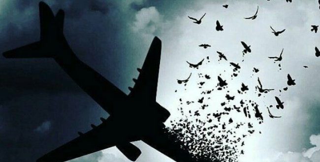 به ۳ روز قبل برگردید. 
آن ه
