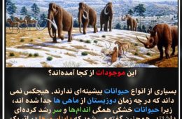 این موجودات از کجا آمده اند؟