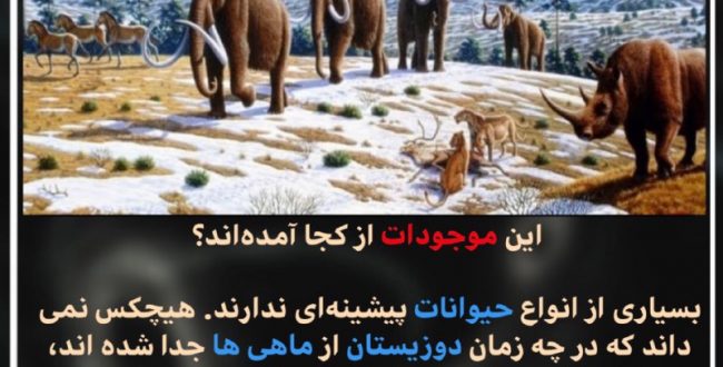 این موجودات از کجا آمده اند؟