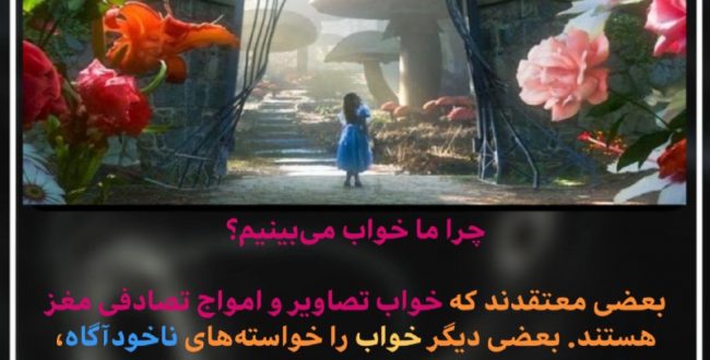 چرا ما خواب می‌بینیم؟

بعضی