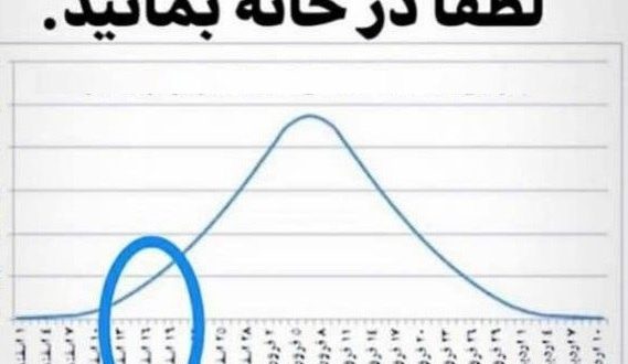 ۲ هفته آینده اوج بیماری کرونا