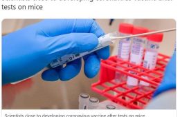آزمایش موفقیت آمیز واکسن کروناویروس پس از موش روی میمون تست می‌شود