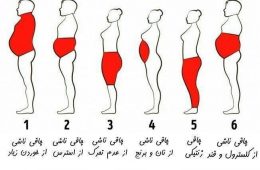 زمانی دست از غذا خوردن بکشید ک