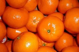 نارنگی : خواص و مضرات